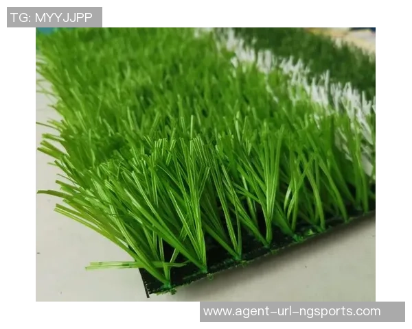 足球草坪养护全攻略提升场地质量与运动体验的关键技巧与方法